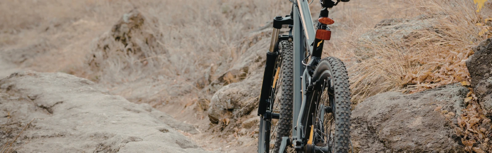 Outdoor Adventures in Palo Alto: Hiking, Biking & Nature Trails