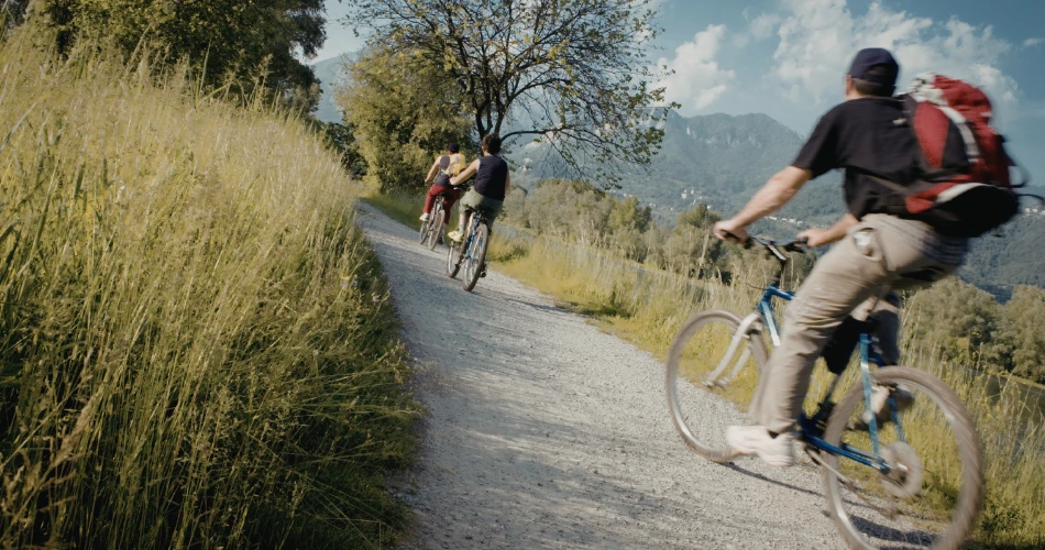 Explore Palo Alto’s Great Outdoors: Parks, Gardens & Scenic Spots