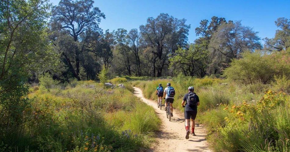 Outdoor Adventures in Palo Alto: Hiking, Biking & Nature Trails