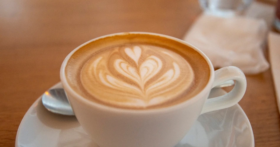 Explore Palo Alto: Hidden Gems & Must-See Attractions